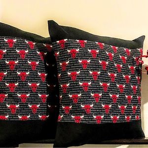 Fluffy Chicago Bulls pillows